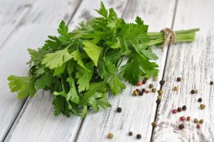 Benefícios da Salsa Para a Saúde