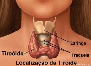 Tireoide - Aprenda a Cuidar Bem da Sua