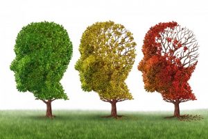 Alzheimer e os 7 Estágios da Doença