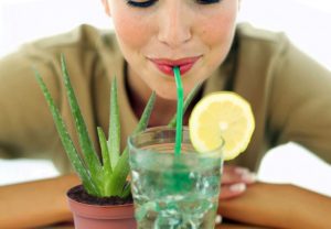 Como Usar Aloe Vera (Babosa) Para Emagrecer