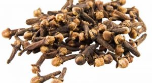 cravos e espinhas cravo da india
